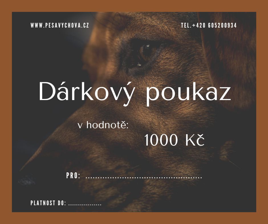 Darkovy poukaz 1000.jpg